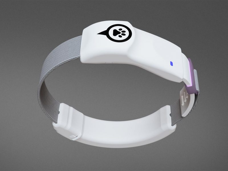GPScatcollar wearable