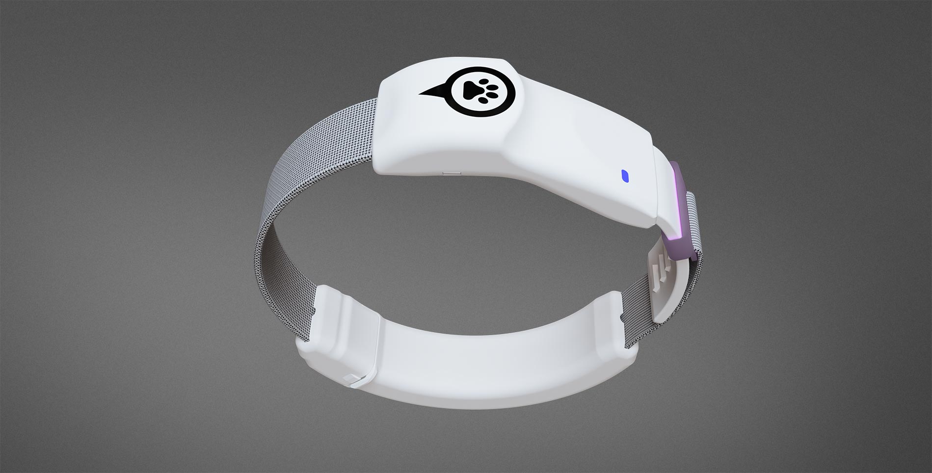 GPScatcollar wearable