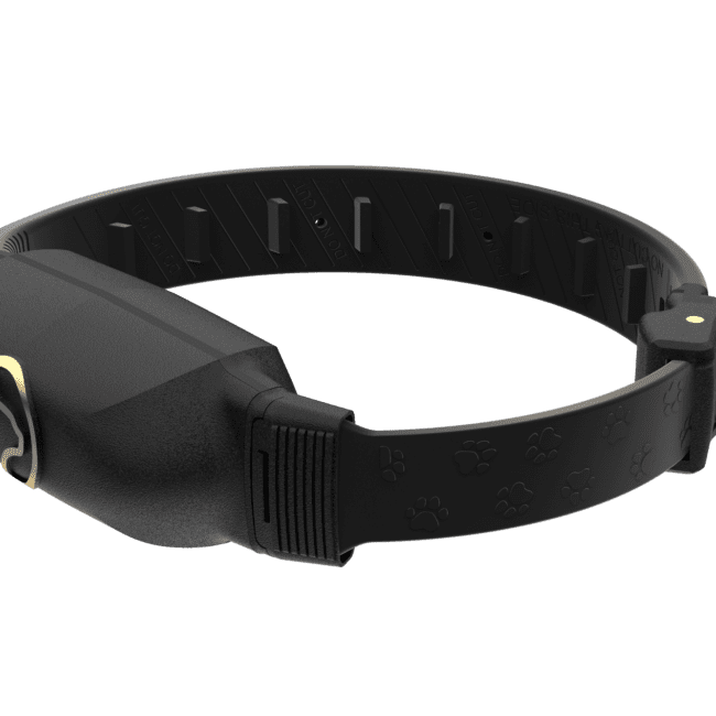 pawtrack Toggle strap